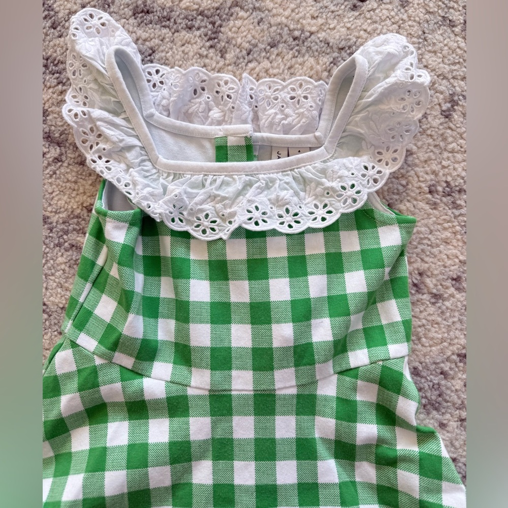 Janie and Jack Green Gingham Eyelet Ruffle Ponte Dress Toddler Size 4 - Picture 4 of 9